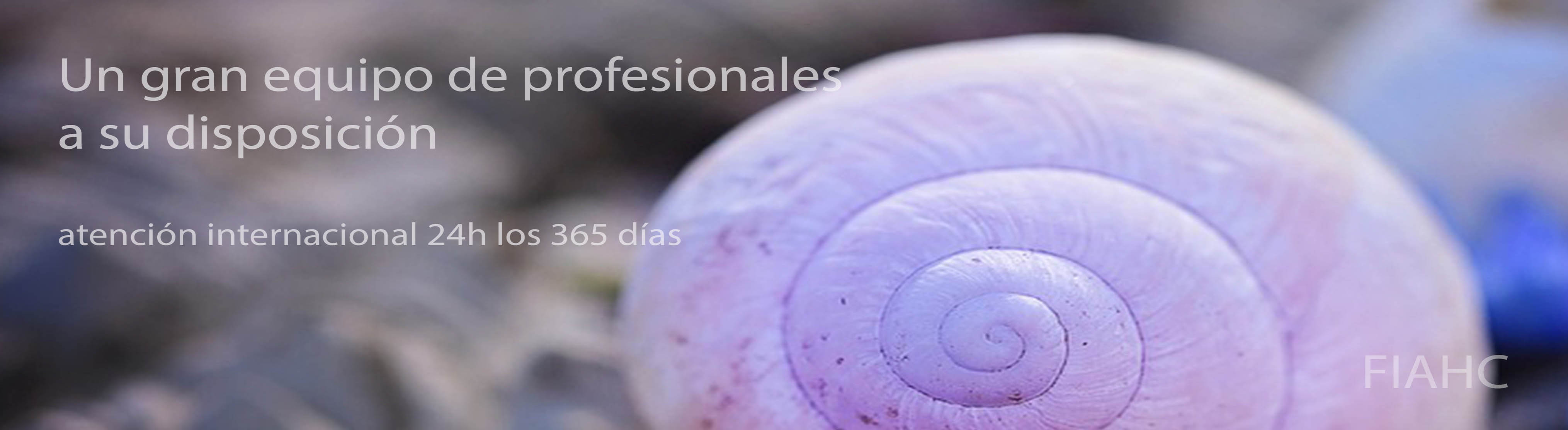 Vinaora Nivo Slider 3.x