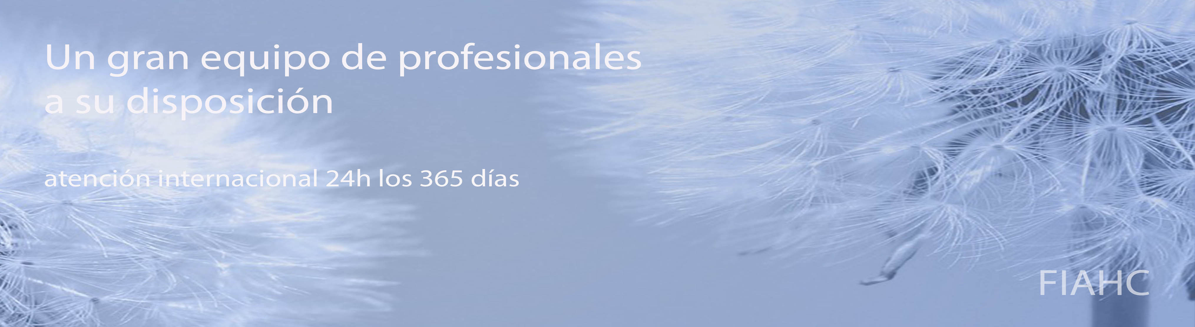 Vinaora Nivo Slider 3.x